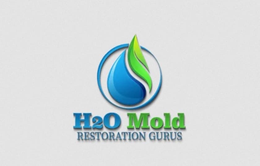 H2O Mold Restoration Gurus of Costa Mesa logo