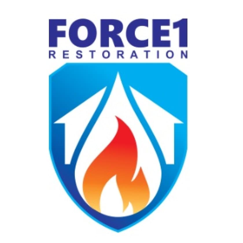 Force One Restoration logo