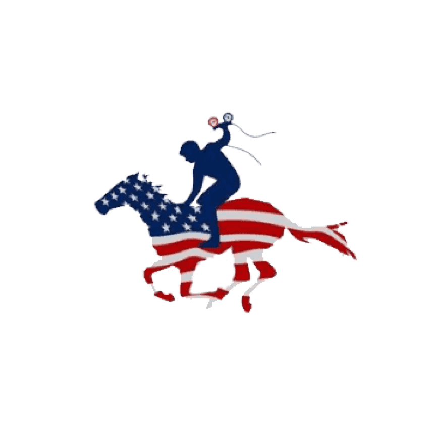 American Home Upgrades logo