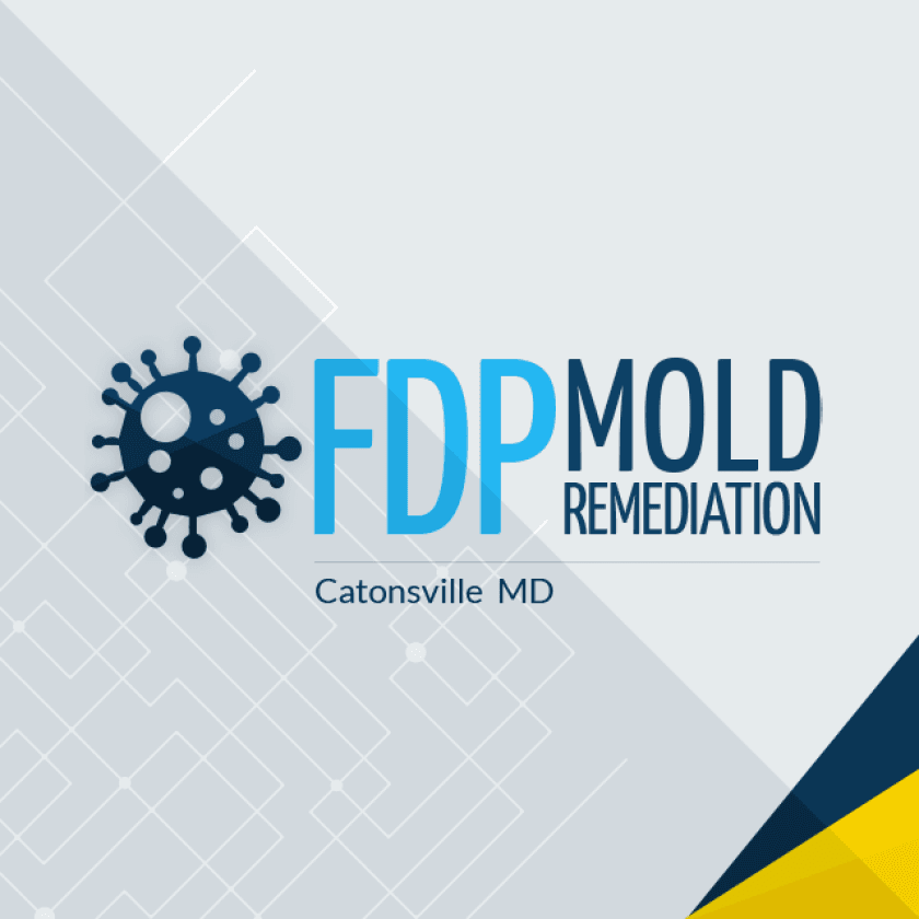FDP Mold Remediation of Catonsville logo