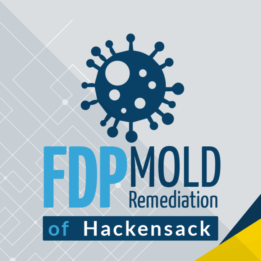 FDP Mold Remediation of Hackensack logo