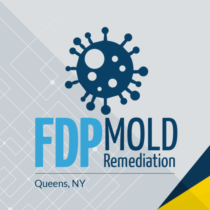 FDP Mold Remediation of Queens logo